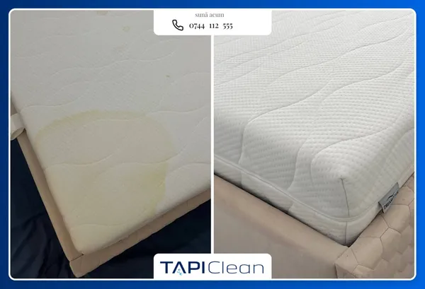 Curățare canapele Brașov | Curățare saltele, scaune, tapițerii – TapiClean