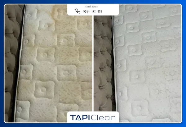 Curățare canapele Brașov | Curățare saltele, scaune, tapițerii – TapiClean