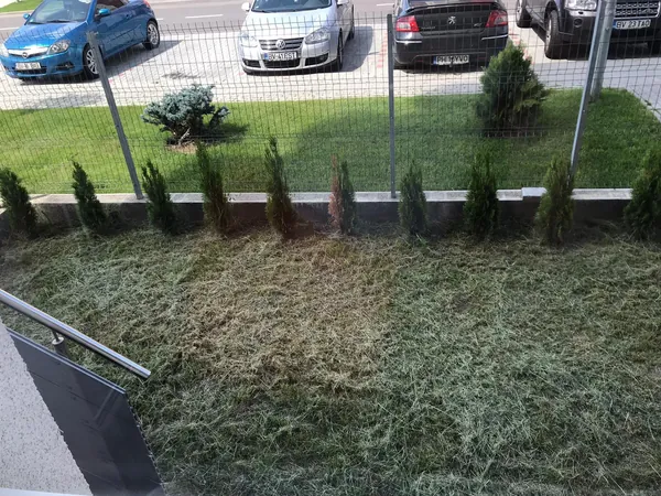 Vand studio cu gradina Avantgarden Bartolomeu